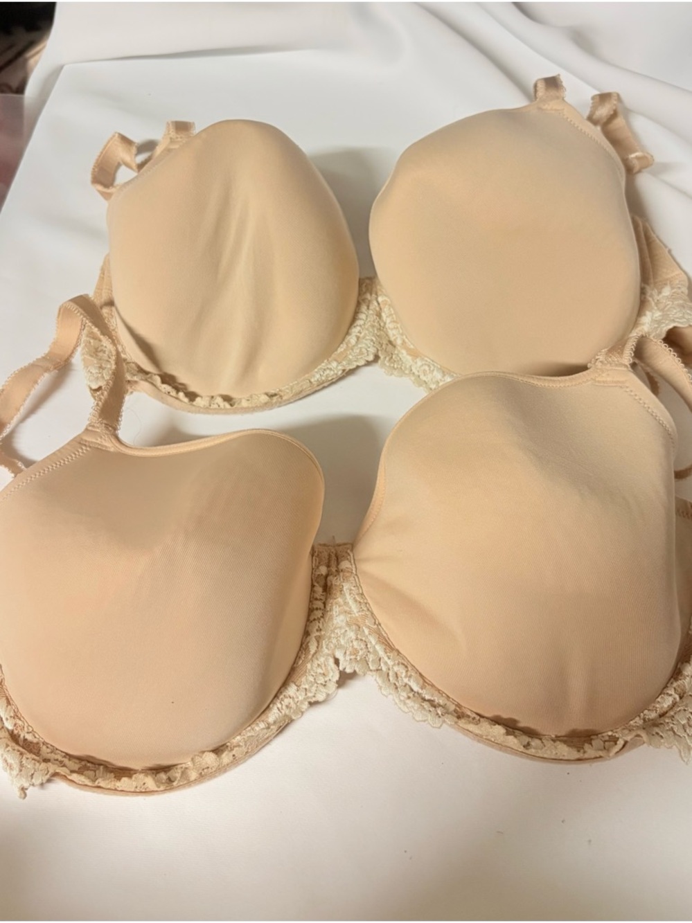 Wacoal Beige Lace-Trim T-Shirt Bra Duo set of 2